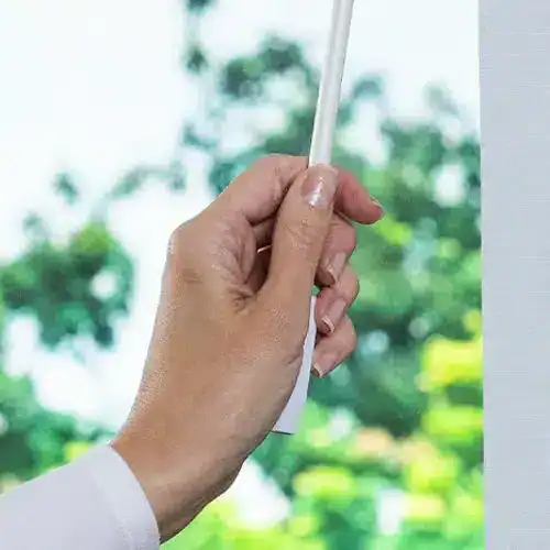 A hand holding a white paper or menu near a shaded outdoor area with lush greenery.